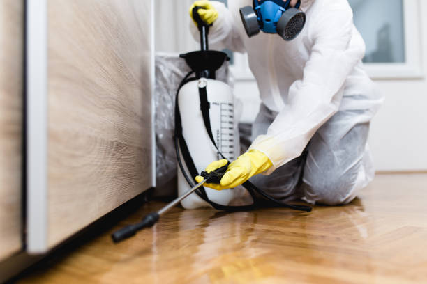 Professional Pest Control in Lanse, MI