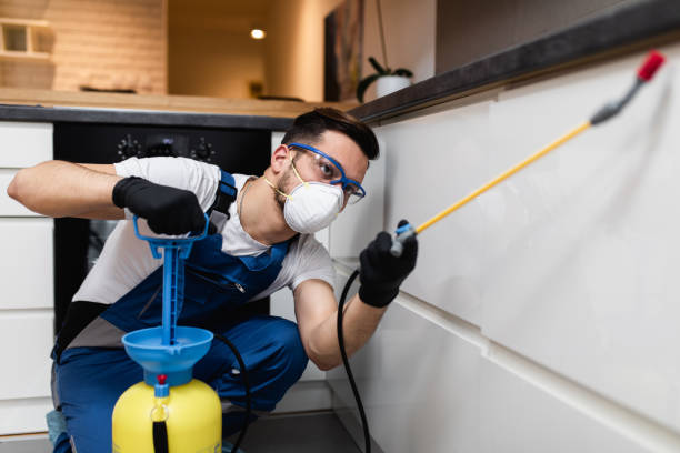  Lanse, MI Pest Control Pros