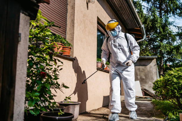 Best Best Pest Control Companies  in Lanse, MI