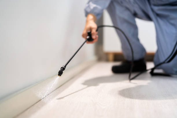 Best Local Pest Control Services  in Lanse, MI