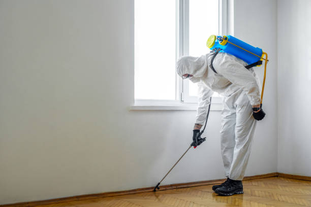Best Pest Inspection Near Me  in Lanse, MI