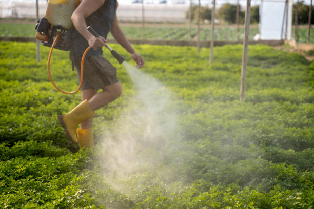Best Local Pest Control Services  in Lanse, MI
