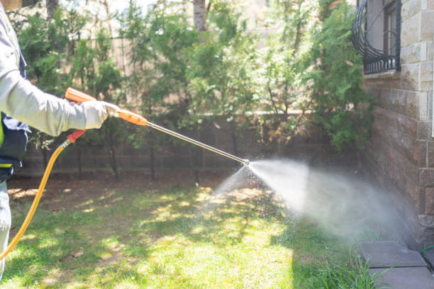 Best Pest Removal Services  in Lanse, MI