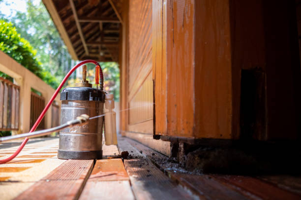 Best Affordable Pest Control Services  in Lanse, MI