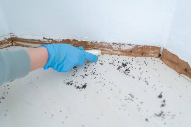 Best Wildlife Control Services  in Lanse, MI