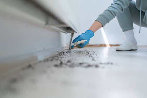 Best Mosquito Control Services  in Lanse, MI